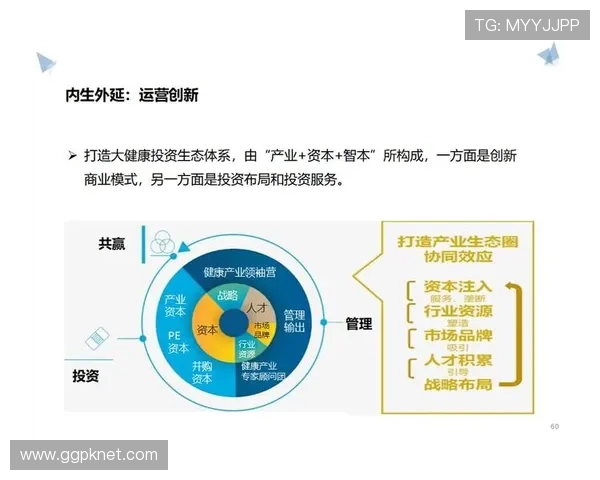 赢博国际：推动行业数字化转型的核心力量与发展方向