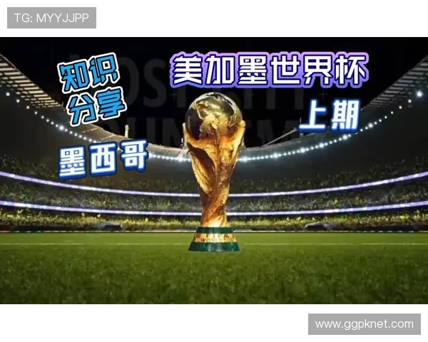 2026年世界杯墨西哥对韩国比赛交通指南详细解析与出行建议
